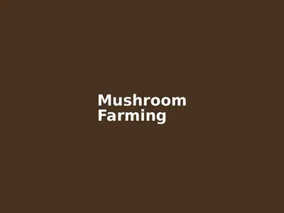 Mushroom cultivation